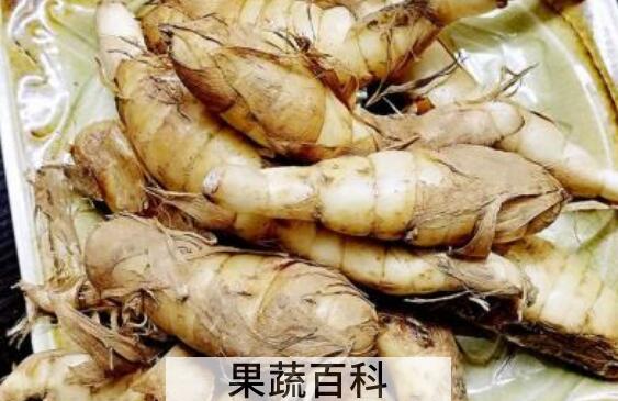 焦藕的功效与作用 焦藕的药用价值