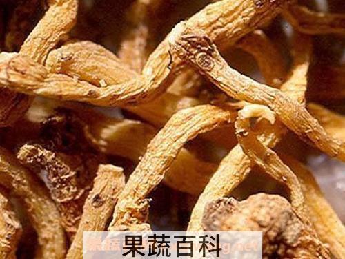 玉竹