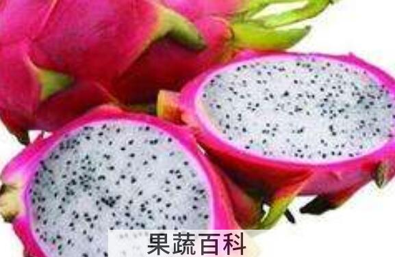 火龙果红心和白心区别