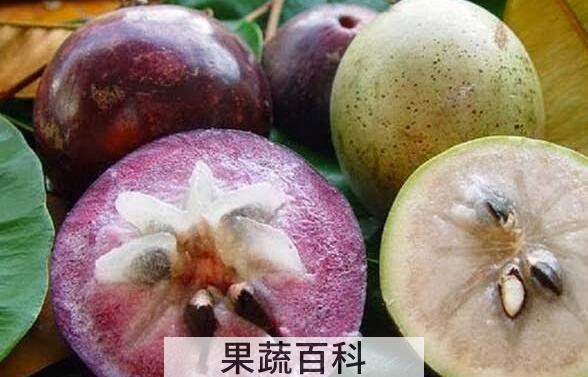牛奶果的营养价值 牛奶果的功效与作用