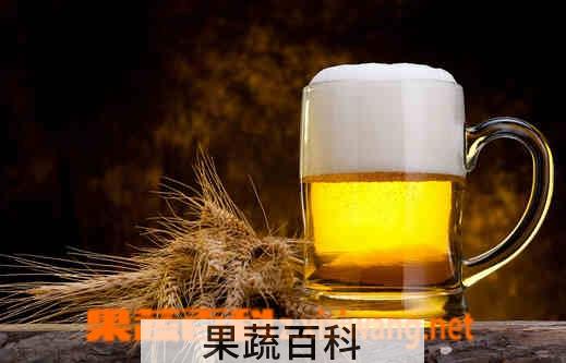 果蔬百科喝啤酒的坏处 经常喝啤酒的坏处