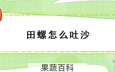 田螺怎么吐沙