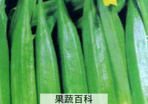 男人吃秋葵有什么好处与坏处