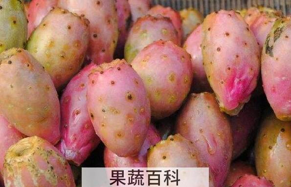 小火龙果叫什么 小火龙果的功效与作用