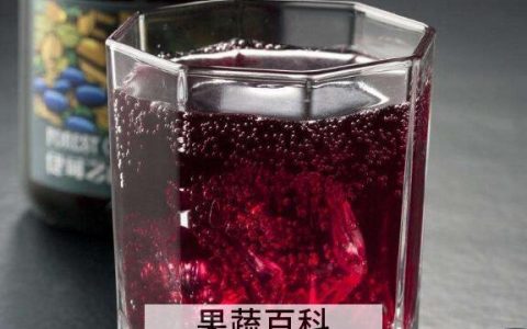 野生蓝莓汁的功效与作用