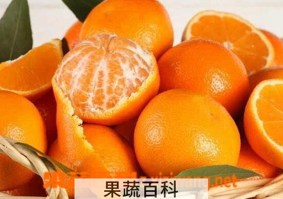 果蔬百科烫伤以后吃什么好 烫伤以后不能吃什么