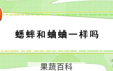蟋蟀和蛐蛐一样吗