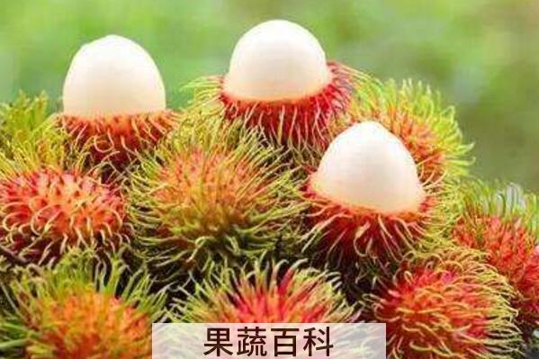 红毛丹吃多了怎么办 吃红毛丹的禁忌