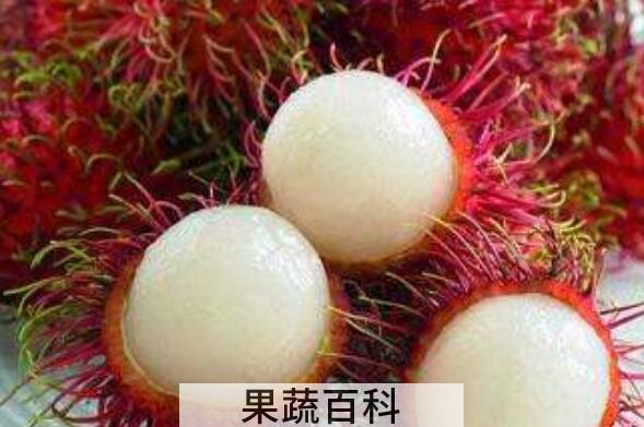 红毛丹的功效与作用 吃红毛丹的好处