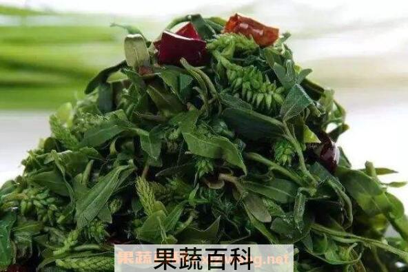 苦乐芽的作用功效