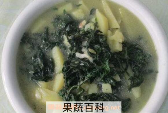 苦乐芽的作用功效