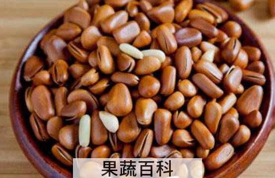 雪松子的功效与作用 雪松子的药用价值