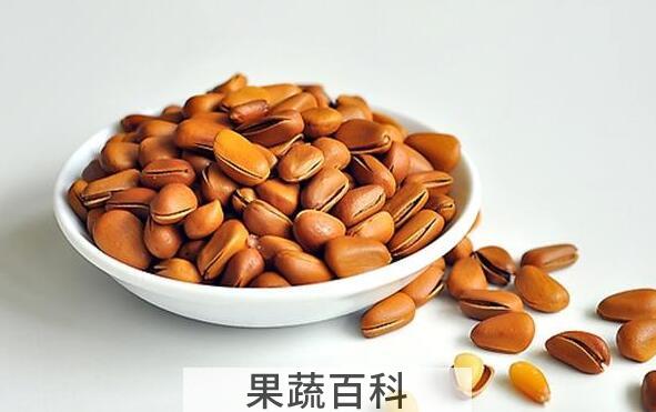 雪松子的功效与作用 雪松子的药用价值