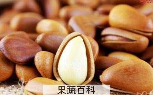 马尾松子和雪松子区别 马尾松子的功效与作用