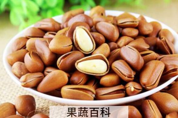 马尾松子和雪松子区别 马尾松子的功效与作用