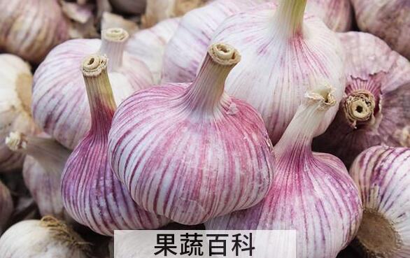 大蒜头的功效与作用