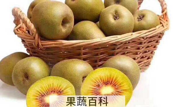 红心果干的功效与作用