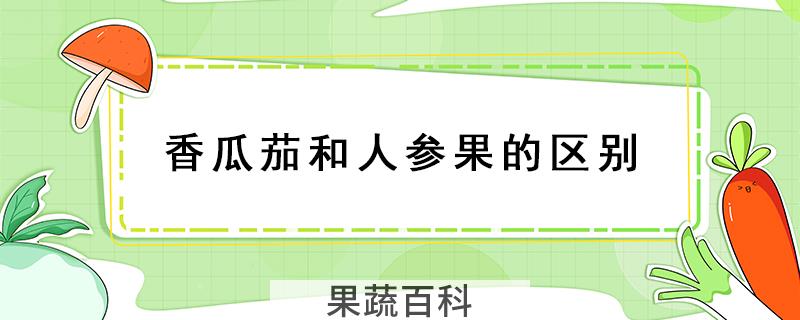 香瓜茄和人参果的区别