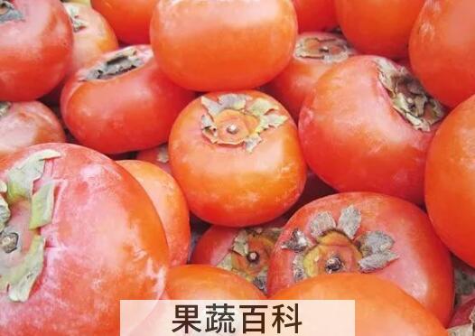 吃懒柿子的好处和坏处
