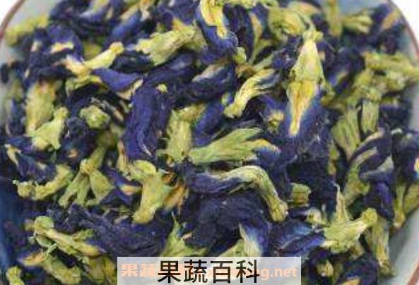 蝶豆花的功效与作用 蝶豆花的食用禁忌