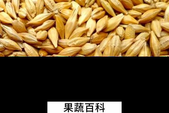 果蔬百科哪些食物能养胃