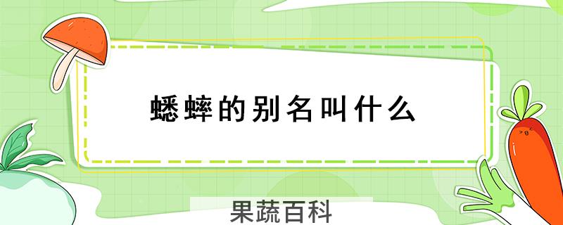 蟋蟀的别名叫什么