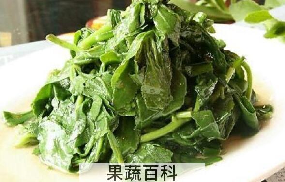 救心菜怎么吃 救心菜的食用方法