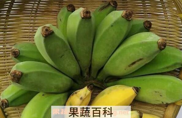芭蕉果的作用与功效	