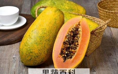 木瓜怎么吃 木瓜的食用方法大全 木瓜怎么吃 木瓜的食用方法视频