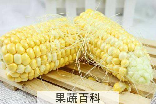 玉米须