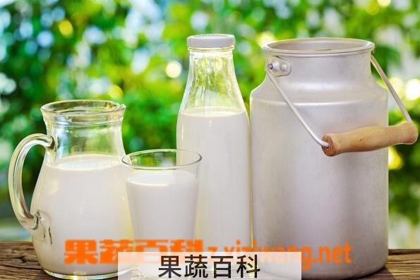 果蔬百科牛奶