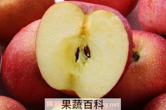 怎么吃苹果减肥最快 苹果减肥的正确方法