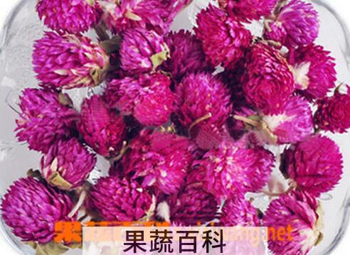 果蔬百科千日红的功效与用法