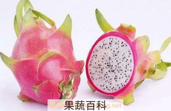 火龙果外皮有什么用 火龙果皮怎么吃