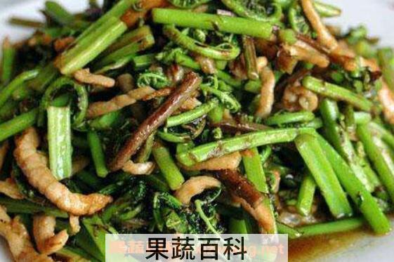 野鸡膀子菜怎么做好吃 野鸡膀子菜的食用方法