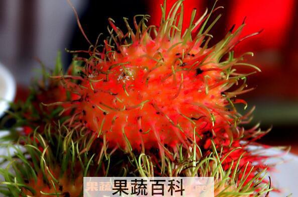红毛丹怎么吃 红毛丹的食用方法