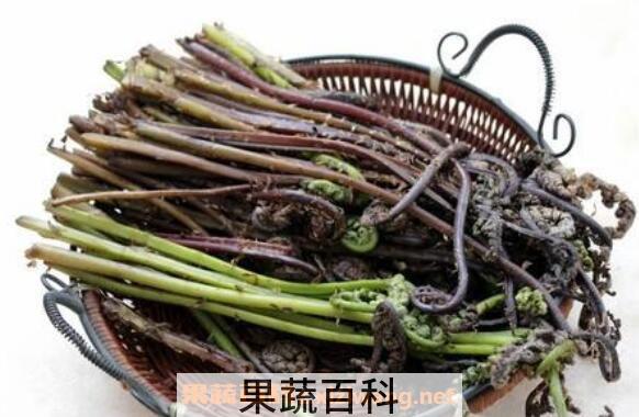 猴腿菜怎么去毛 猴腿菜怎么保存