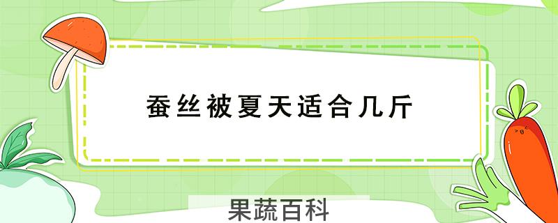 蚕丝被夏天适合几斤