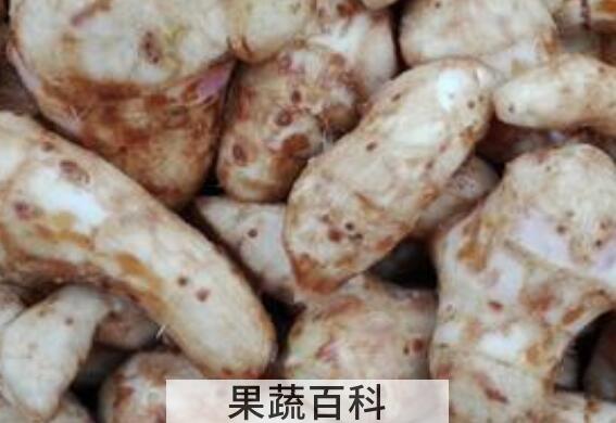 姜藕的功效和作用 姜藕的副作用