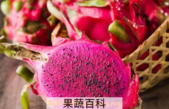 吃火龙果的功效与作用 吃火龙果的禁忌
