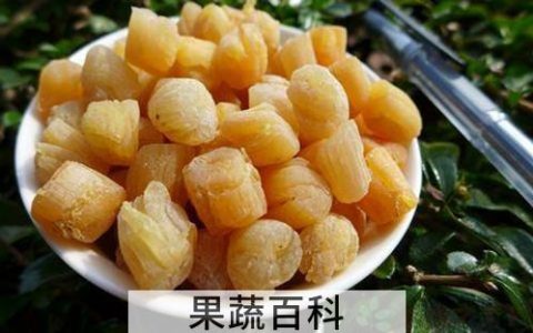 干贝怎么吃比较好 干贝的烹饪小技巧 干贝怎么食用最好