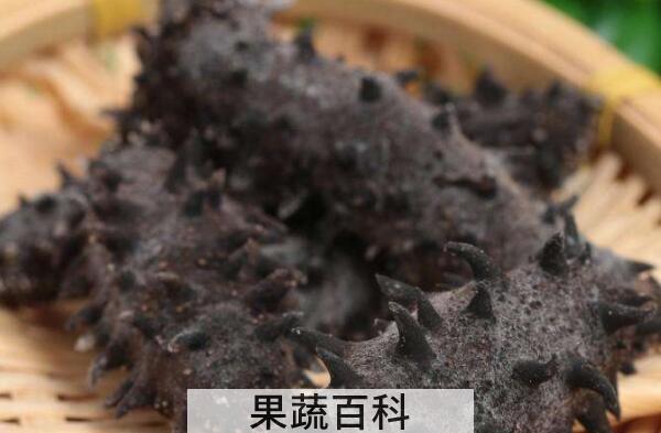 干海参怎么食用 干海参的食用方法