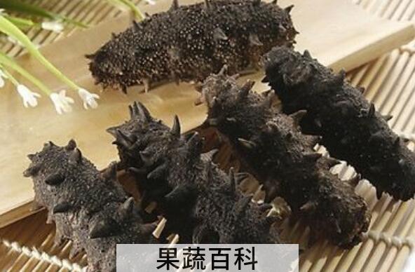 干海参怎么食用 干海参的食用方法