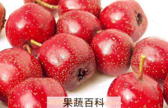 鲜山楂果的功效与作用
