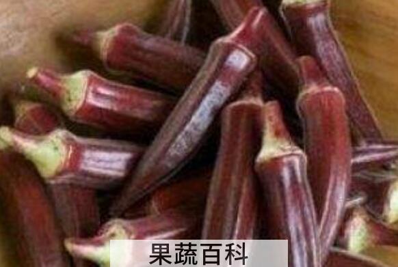 咖啡黄葵怎么吃 咖啡黄葵的食用方法