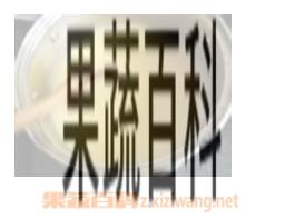 果蔬百科玉米面粥
