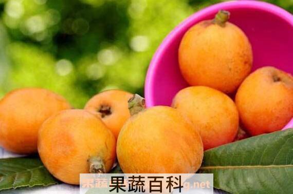 如何腌制生枇杷 生枇杷的制作方法教程
