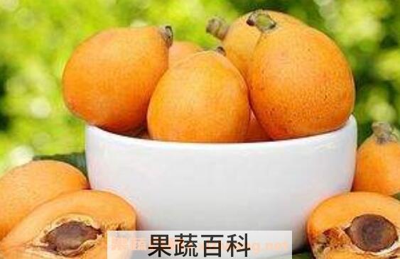 如何腌制生枇杷 生枇杷的制作方法教程