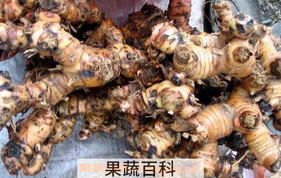 野山姜的功效与作用 野山姜怎么吃