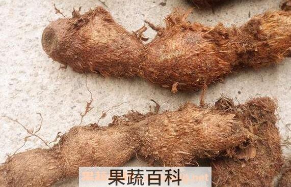 野山姜的功效与作用 野山姜怎么吃